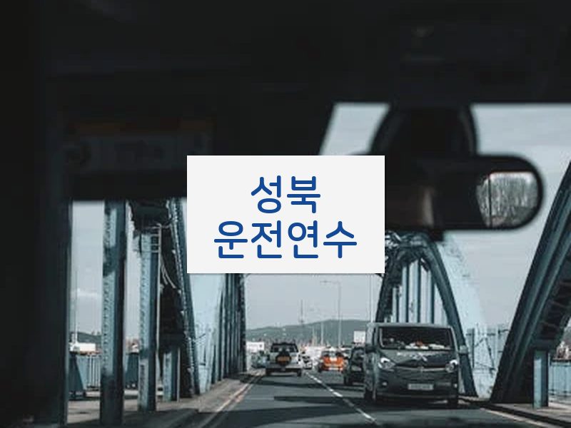 성북운전연수 후기