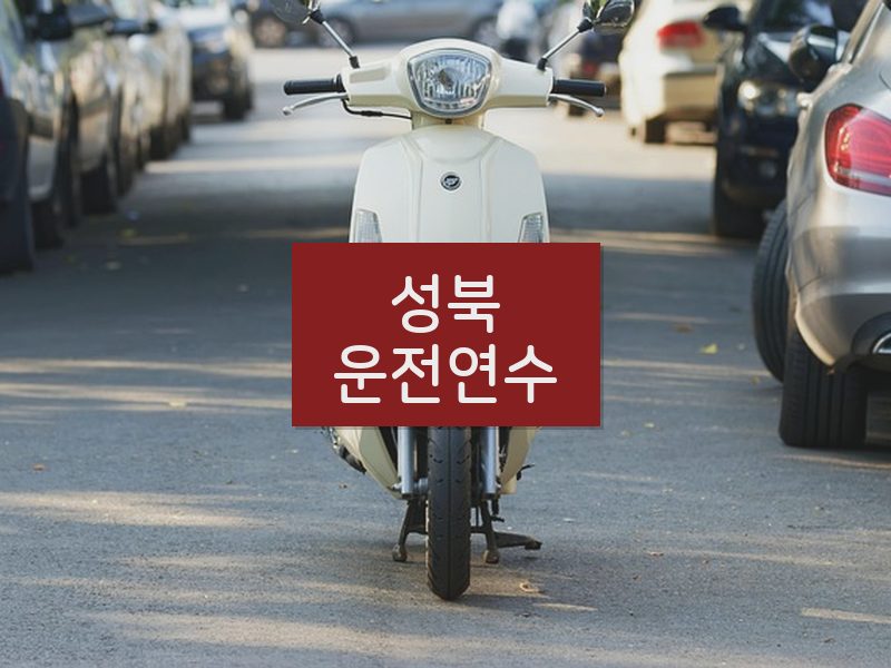 성북운전연수 후기