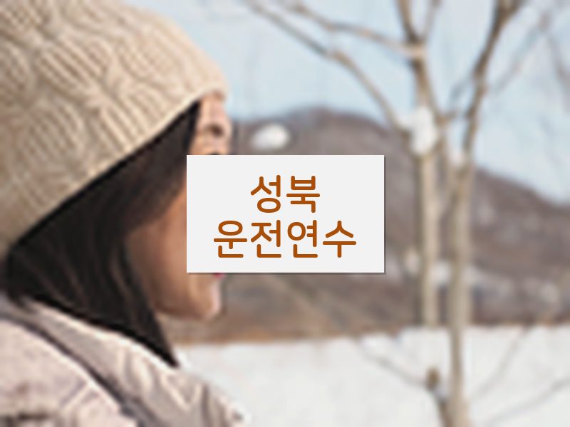 성북운전연수 후기