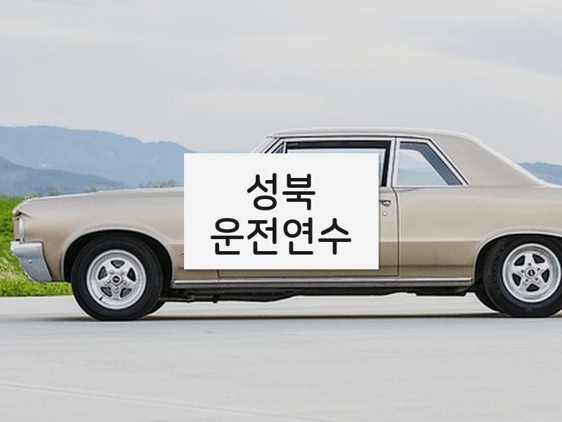 성북운전연수 후기
