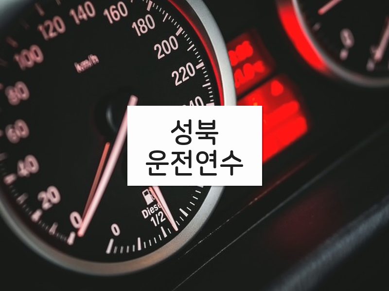 성북운전연수 후기