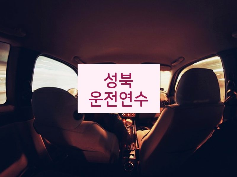 성북운전연수 후기