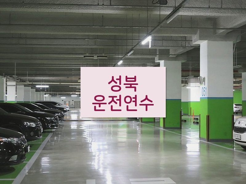 성북운전연수 후기