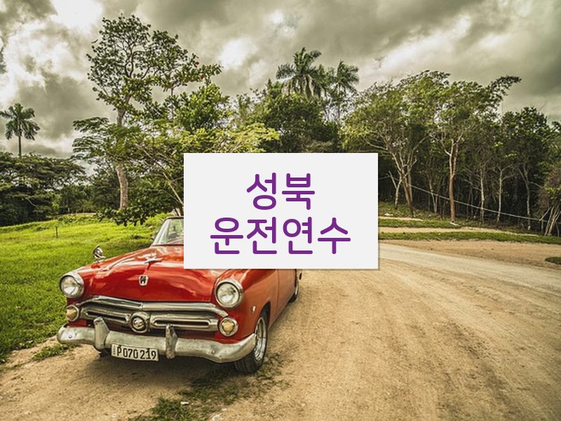 성북운전연수 후기