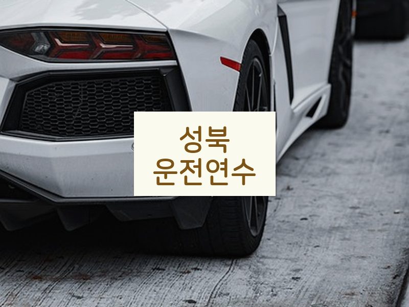 성북운전연수 후기