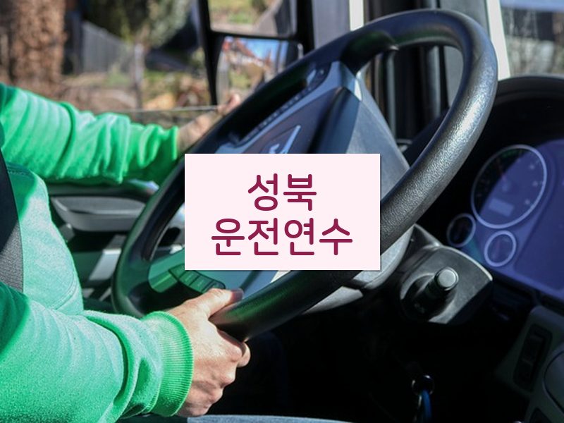 성북운전연수 후기