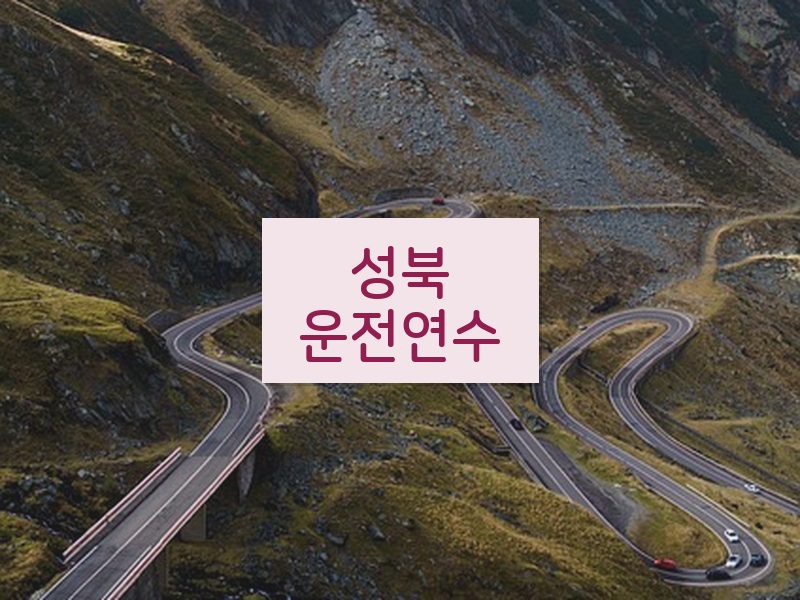 성북운전연수 후기
