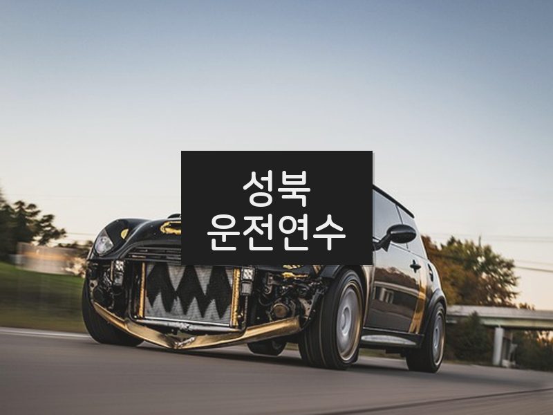 성북운전연수 후기