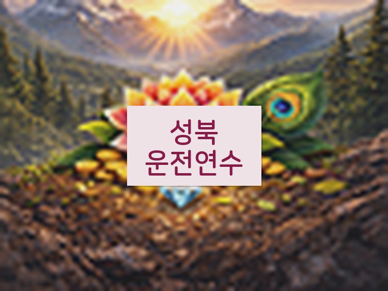 성북운전연수 후기
