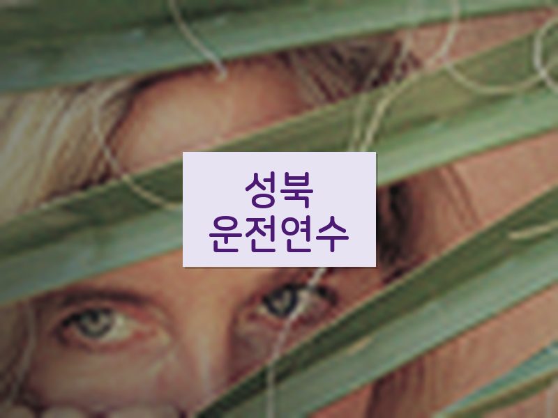 성북운전연수 후기