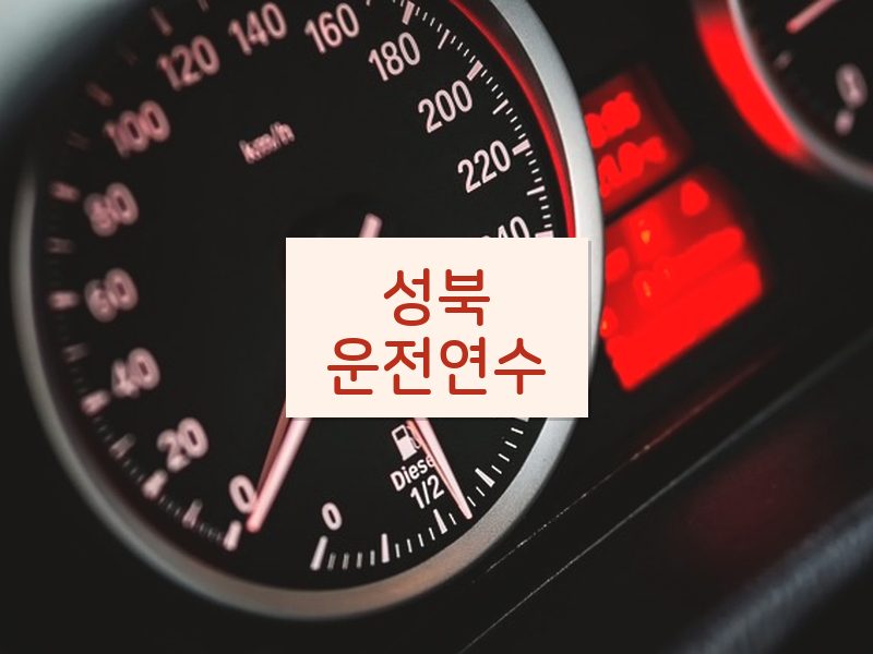 성북운전연수 후기