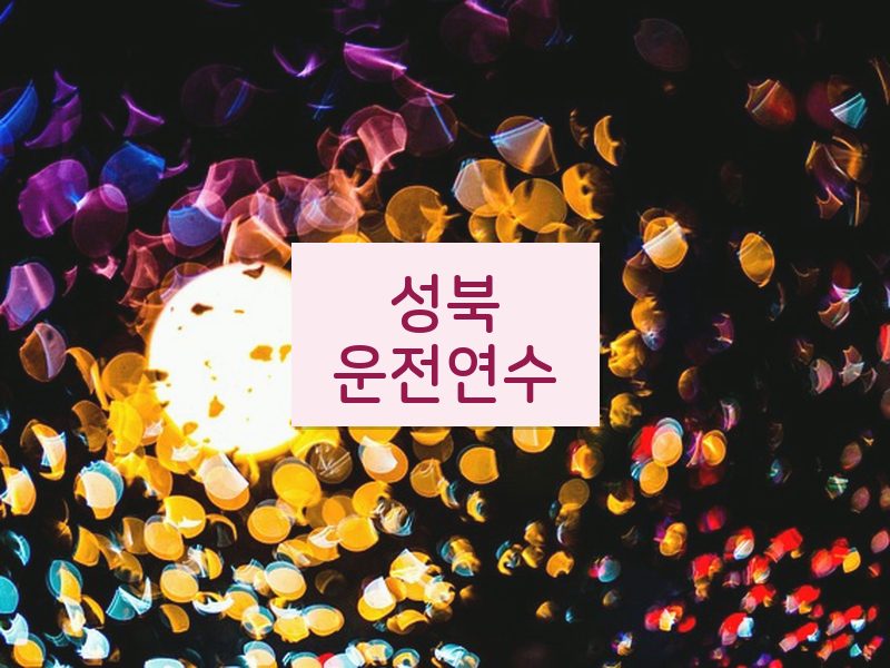 성북운전연수 후기