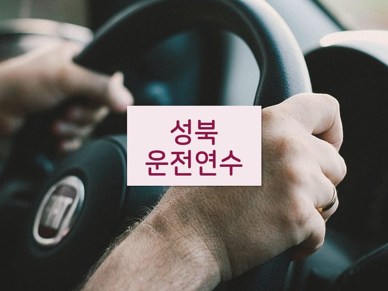 성북운전연수 후기