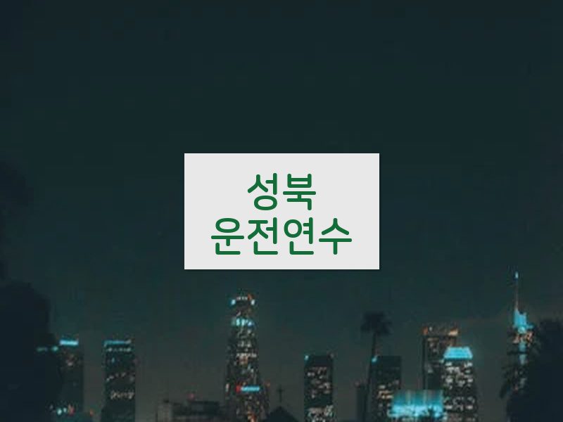성북운전연수 후기