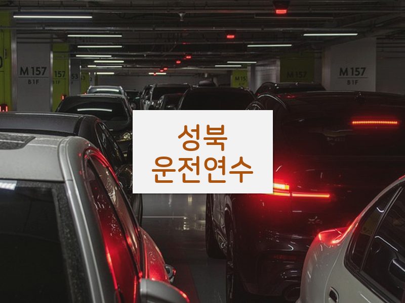 성북운전연수 후기