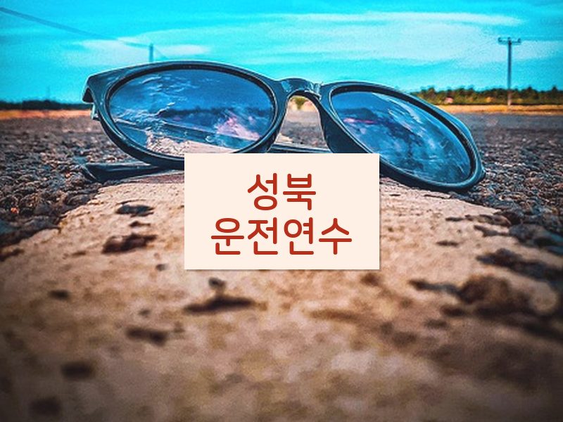 성북운전연수 후기
