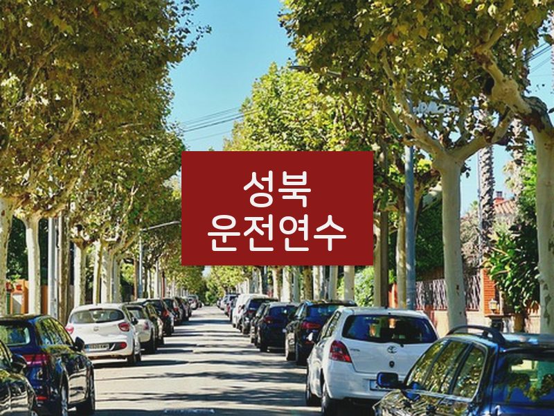 성북운전연수 후기