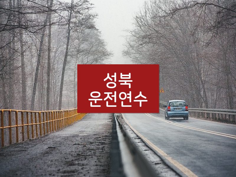 성북운전연수 후기