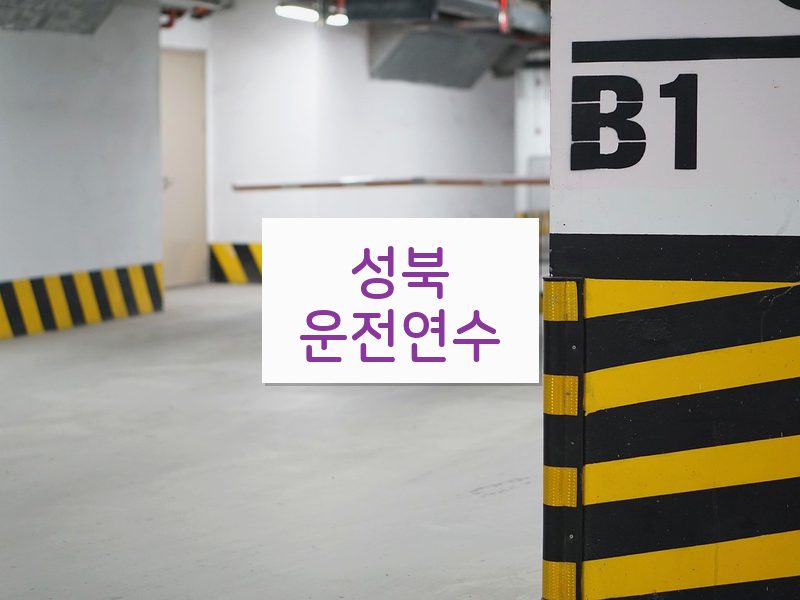 성북운전연수 후기