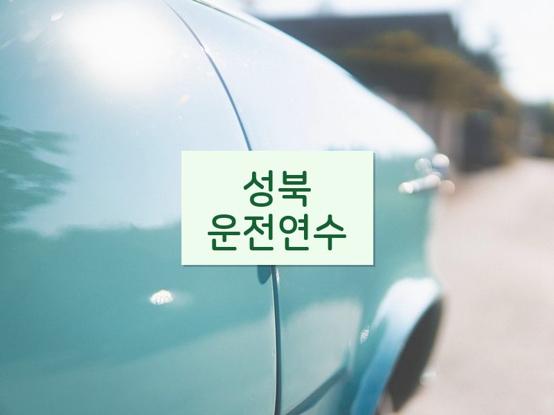 성북운전연수 후기