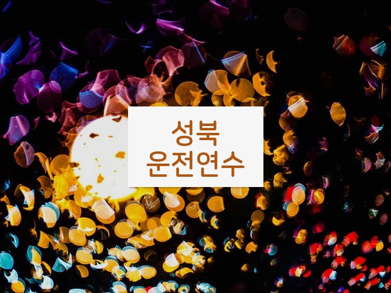 성북운전연수 후기