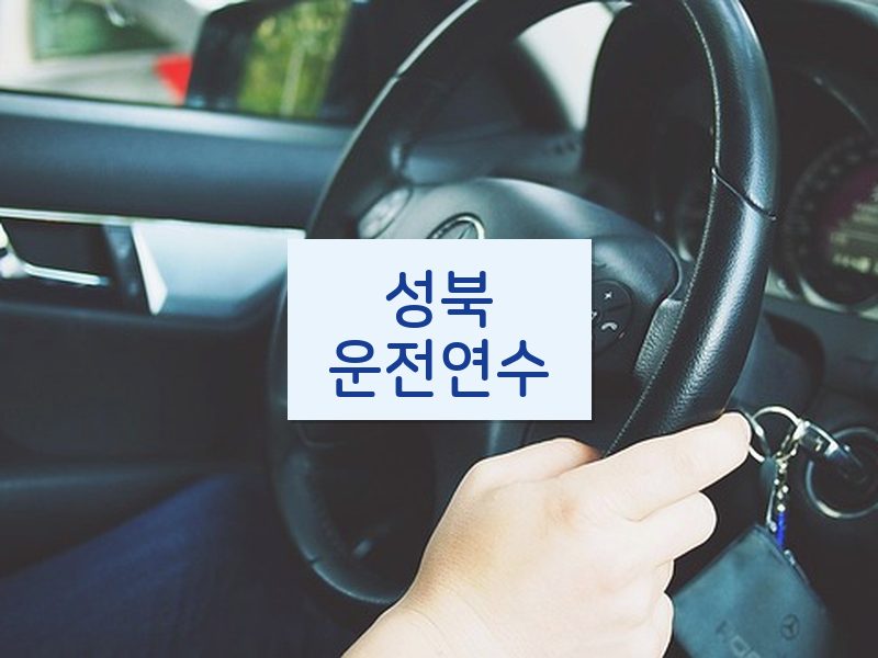 성북운전연수 후기