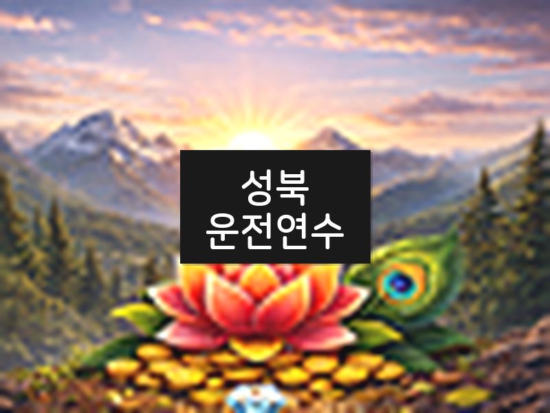 성북운전연수 후기