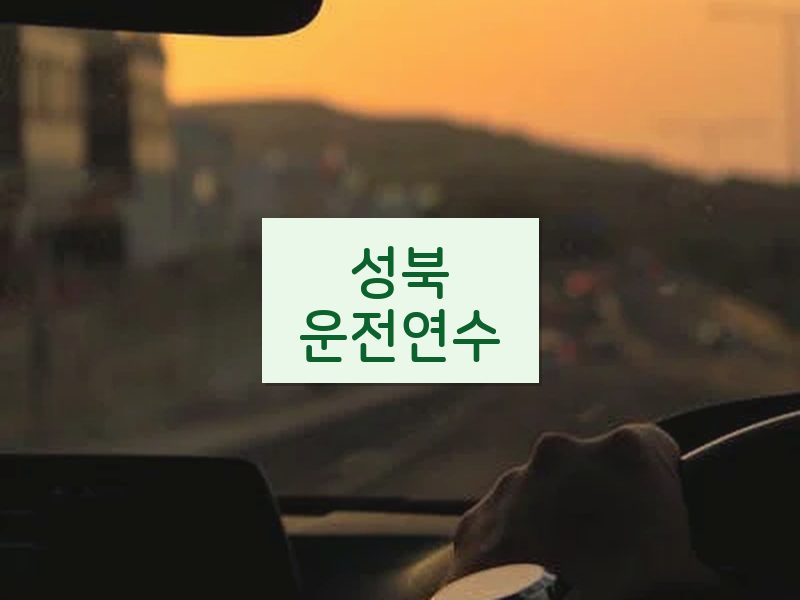성북운전연수 후기