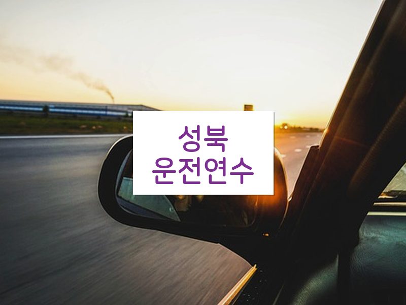 성북운전연수 후기