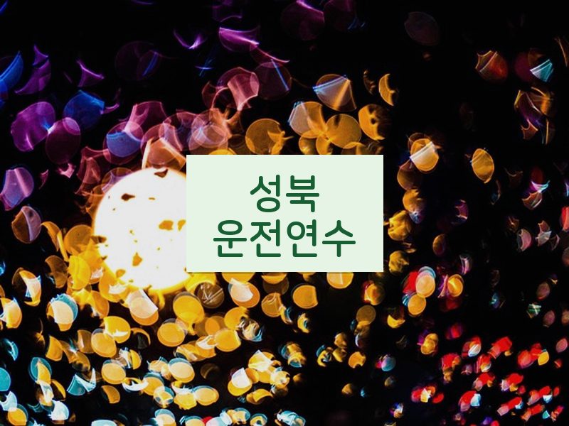 성북운전연수 후기