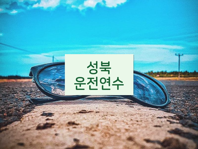 성북운전연수 후기