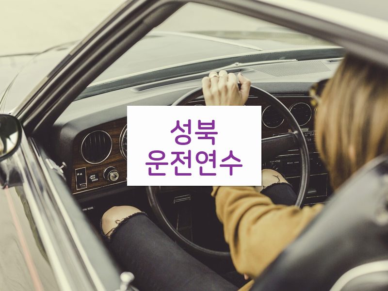 성북운전연수 후기