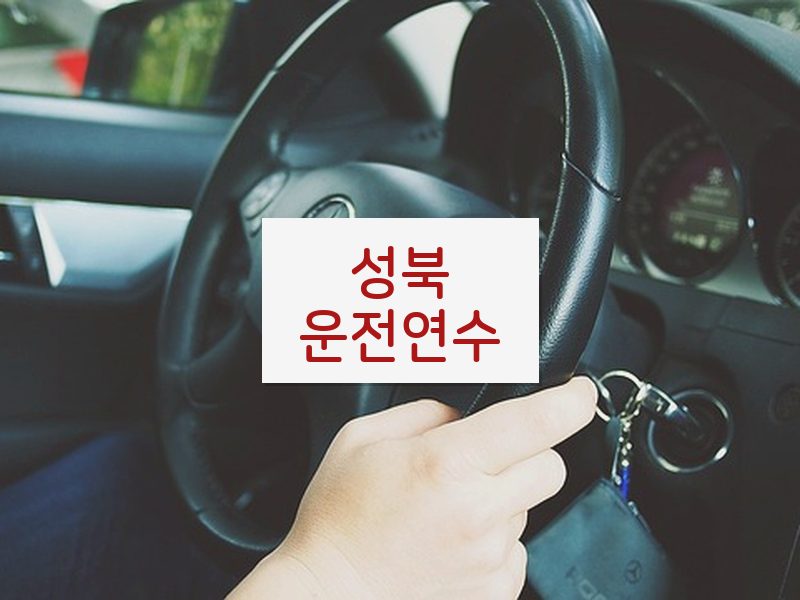 성북운전연수 후기