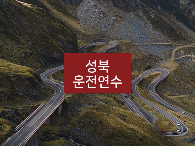성북운전연수 후기