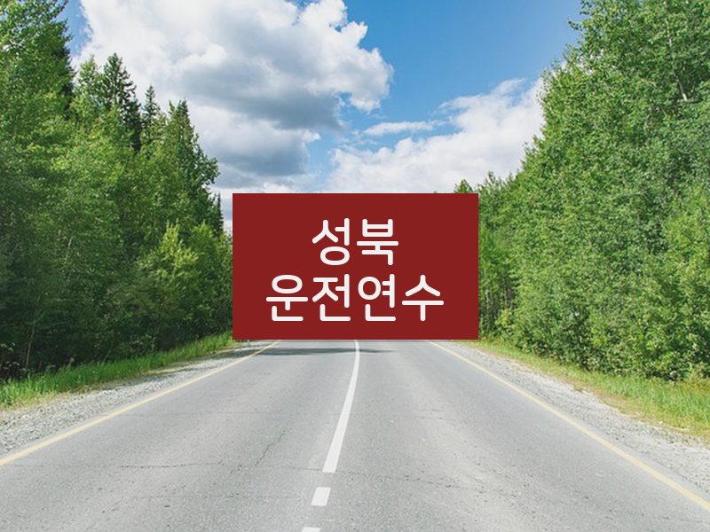 성북운전연수 후기