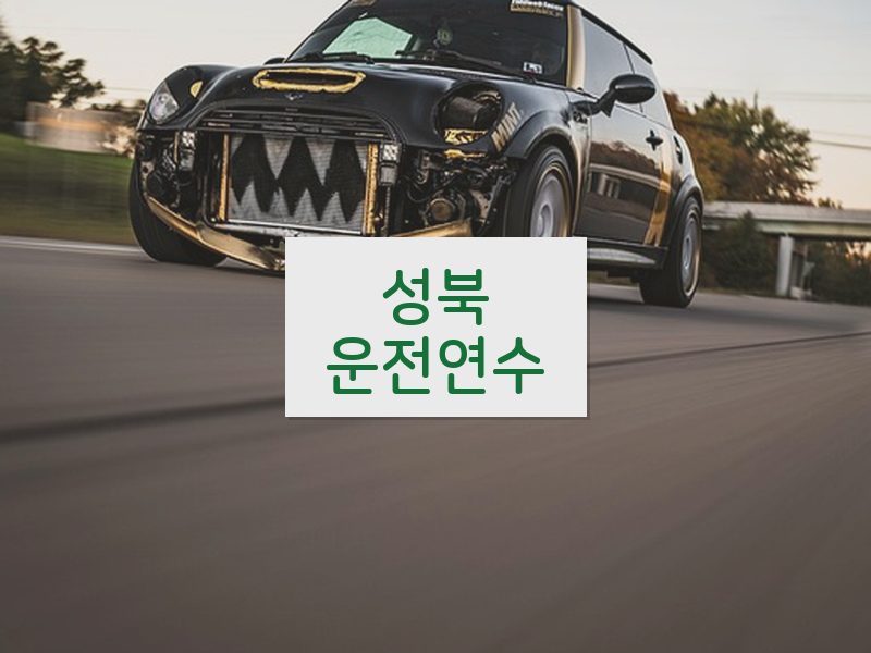 성북운전연수 후기