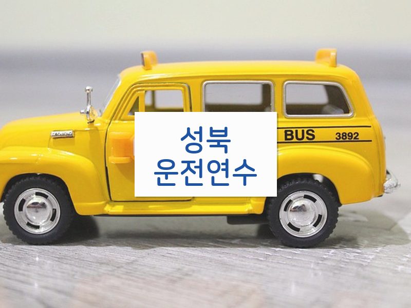 성북운전연수 후기