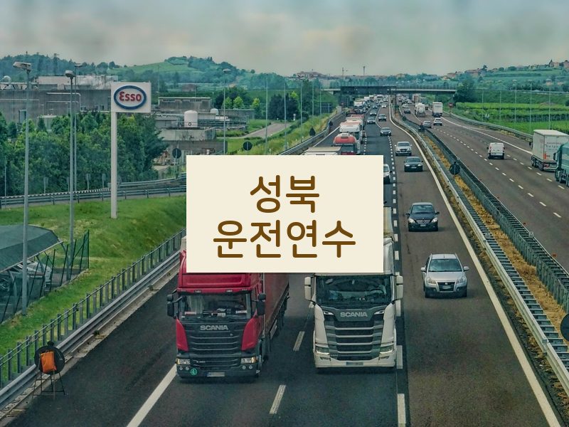 성북운전연수 후기