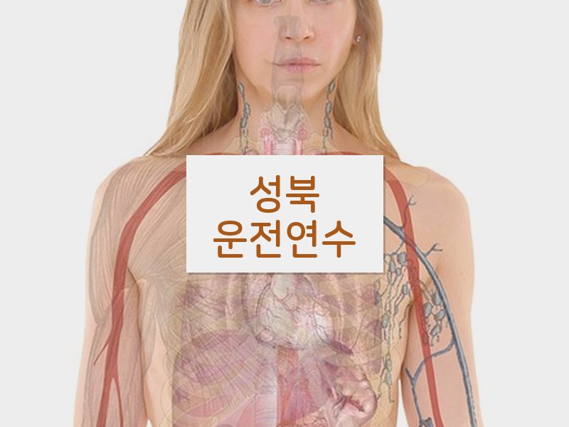 성북운전연수 후기