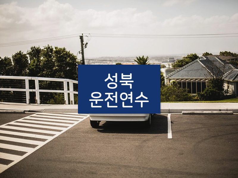 성북운전연수 후기