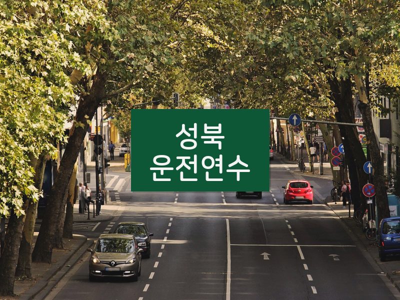성북운전연수 후기