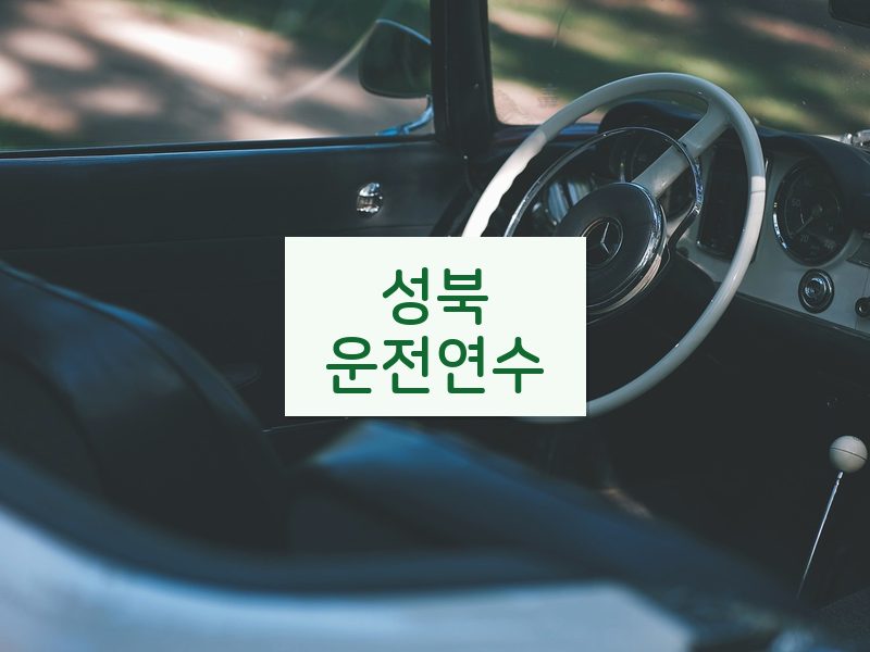성북운전연수 후기