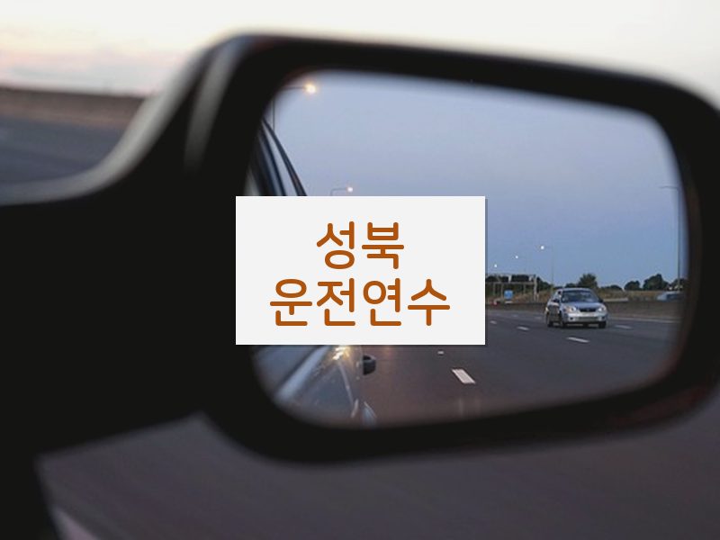 성북운전연수 후기
