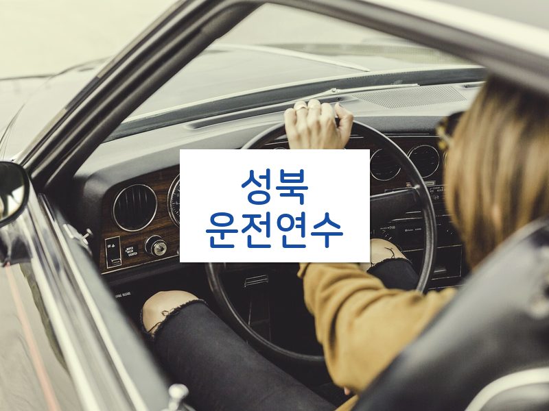 성북운전연수 후기
