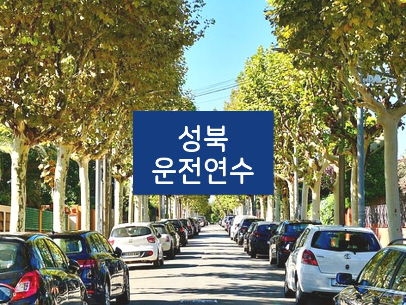 성북운전연수 후기