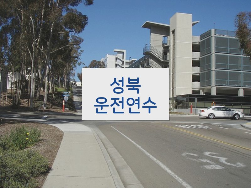 성북운전연수 후기