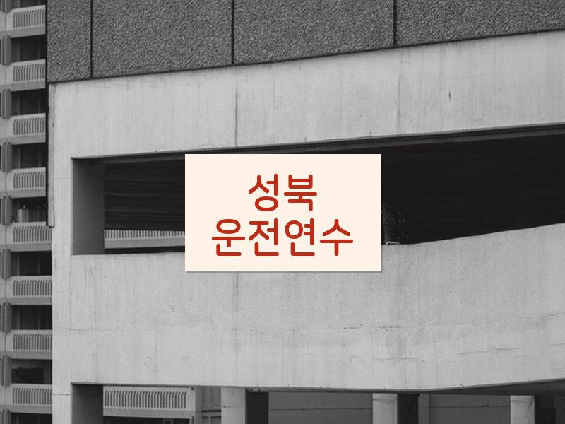 성북운전연수 후기