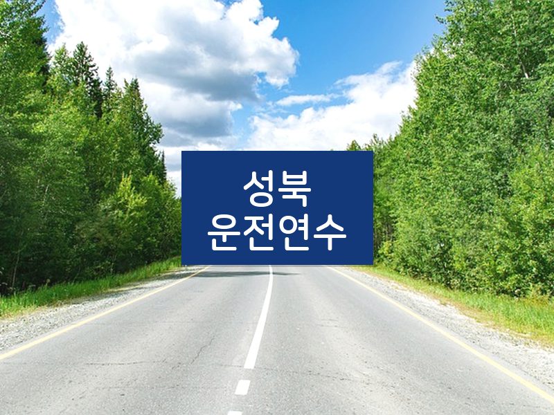 성북운전연수 후기