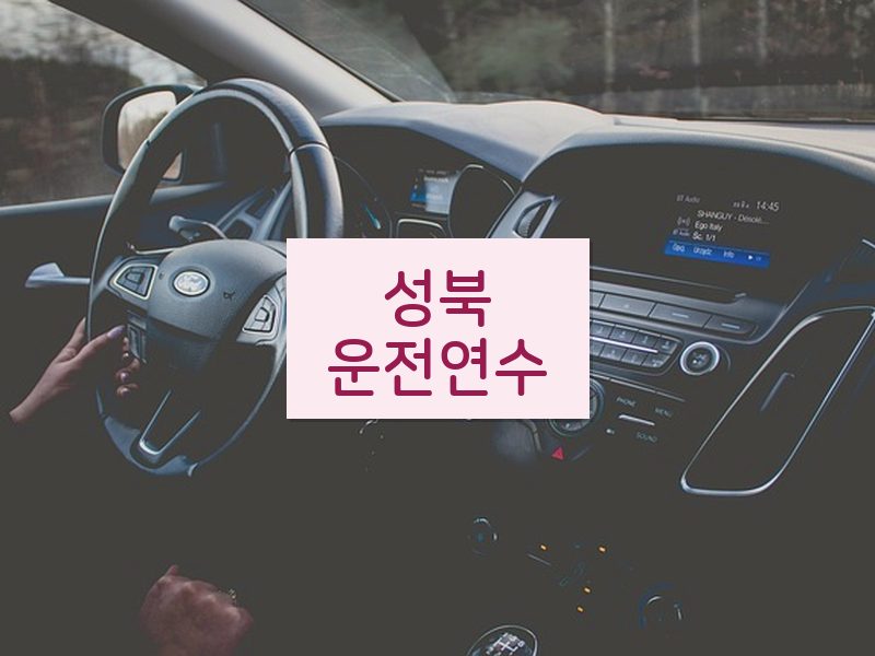 성북운전연수 후기
