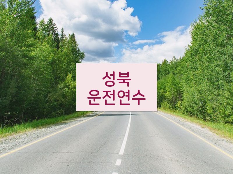 성북운전연수 후기